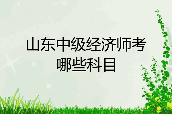 山东中级经济师考哪些科目