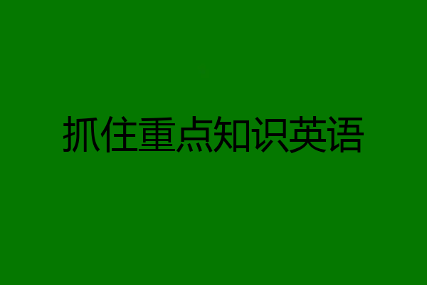 抓住重点知识英语