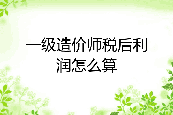 一级造价师税后利润怎么算