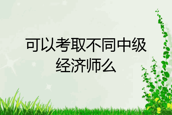 可以考取不同中级经济师么
