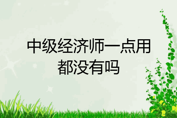 中级经济师一点用都没有吗