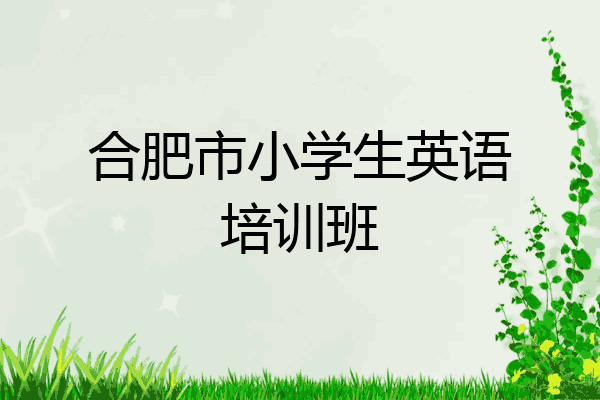 合肥市小学生英语培训班