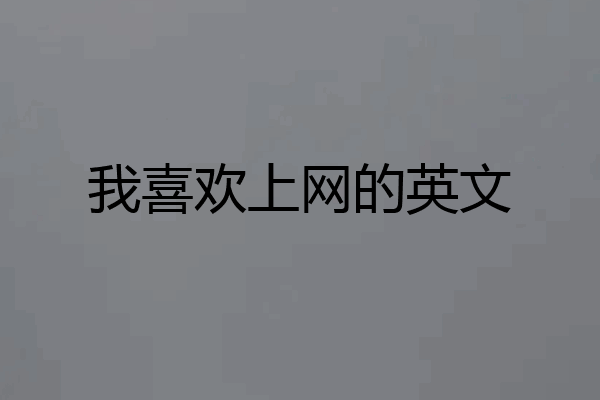 我喜欢上网的英文