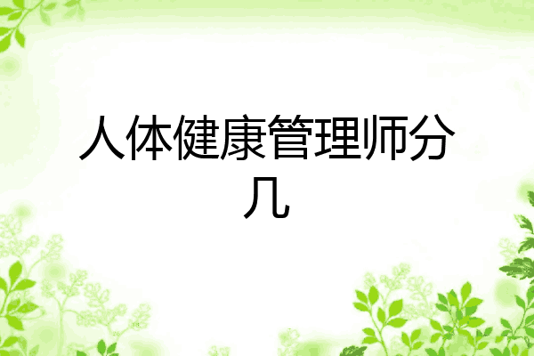人体健康管理师分几