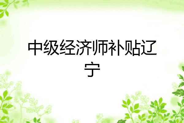 中级经济师补贴辽宁