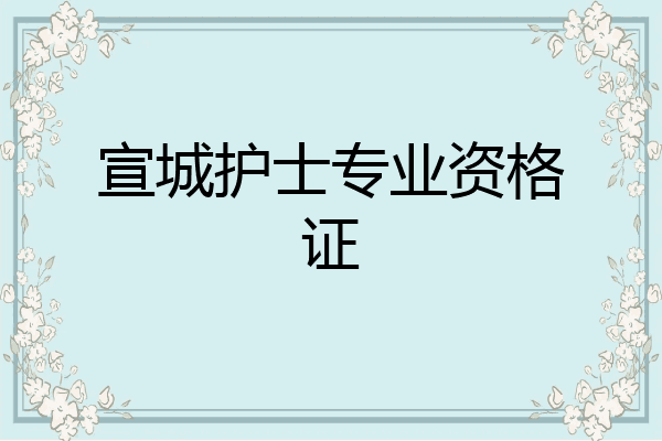 宣城护士专业资格证