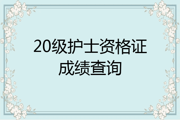 20级护士资格证成绩查询