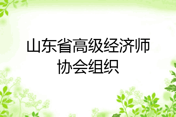 山东省高级经济师协会组织