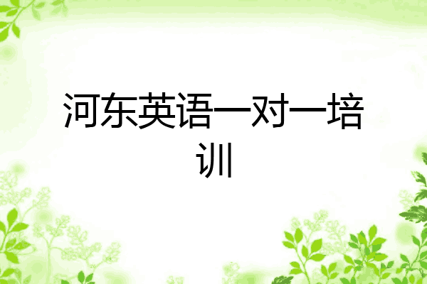 河东英语一对一培训