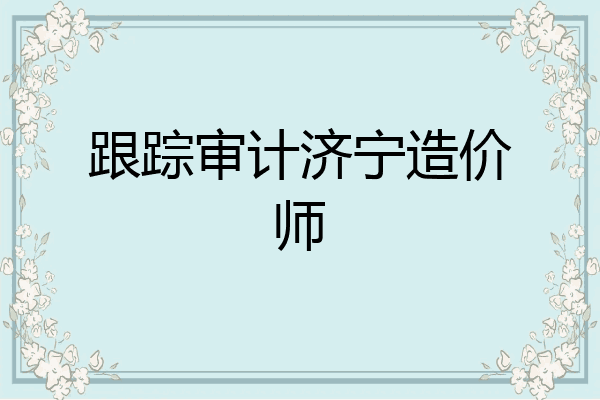 跟踪审计济宁造价师