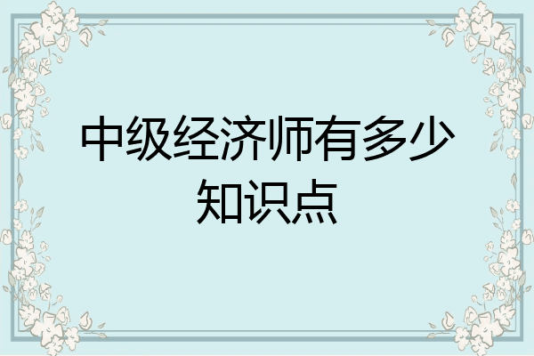 中级经济师有多少知识点