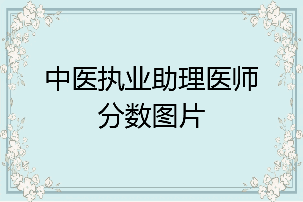 中医执业助理医师分数图片