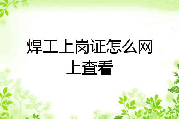 焊工上岗证怎么网上查看