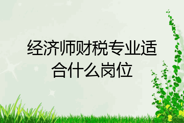 经济师财税专业适合什么岗位