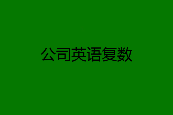 公司英语复数