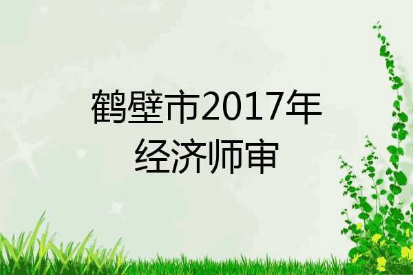 鹤壁市2017年经济师审
