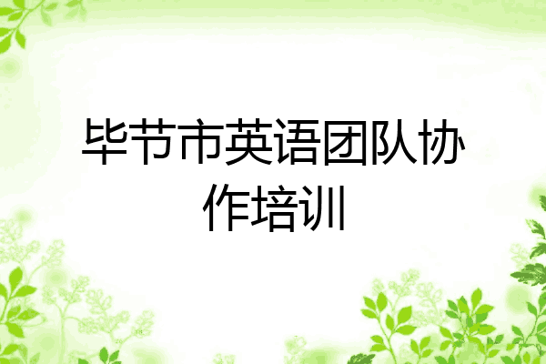 毕节市英语团队协作培训