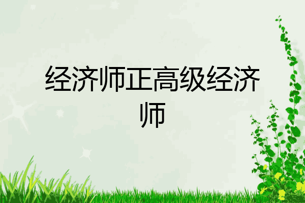 经济师正高级经济师
