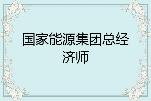 国家能源集团总经济师