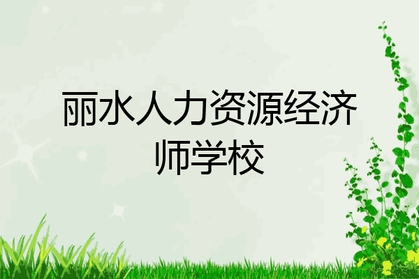 丽水人力资源经济师学校