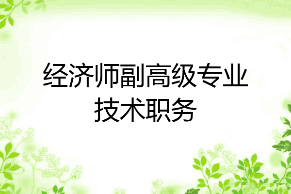 经济师副高级专业技术职务