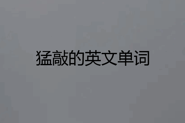 猛敲的英文单词