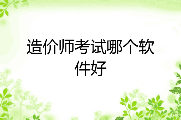 造价师考试哪个软件好