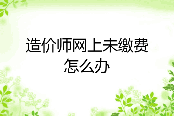造价师网上未缴费怎么办
