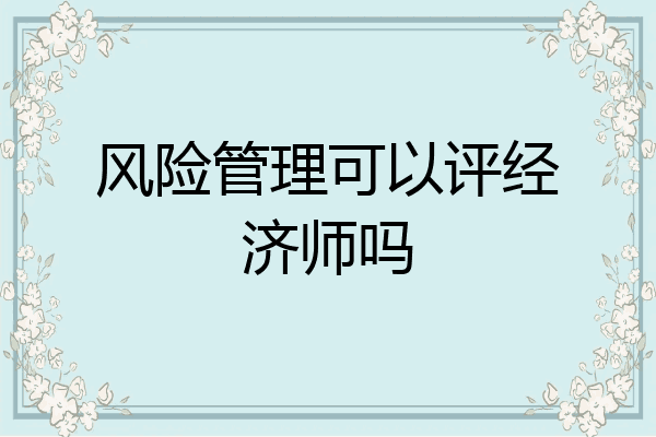 风险管理可以评经济师吗