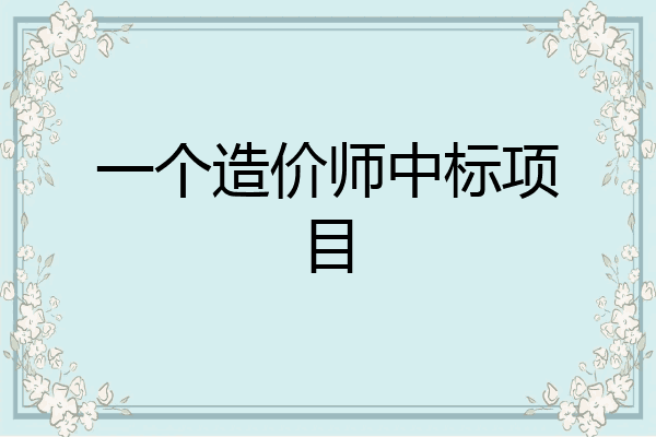一个造价师中标项目