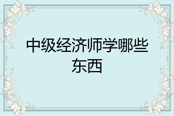 中级经济师学哪些东西