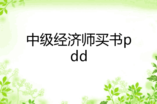 中级经济师买书pdd