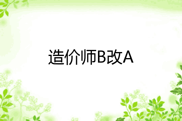 造价师B改A