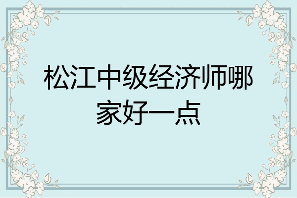 松江中级经济师哪家好一点