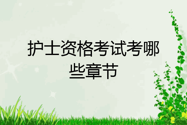 护士资格考试考哪些章节