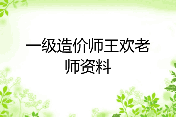 一级造价师王欢老师资料