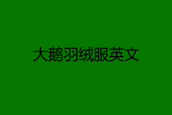大鹅羽绒服英文