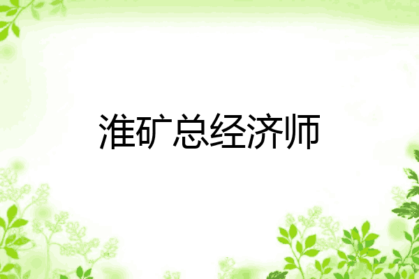 淮矿总经济师