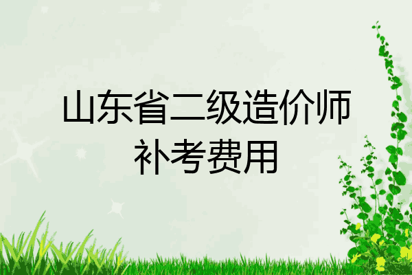 山东省二级造价师补考费用