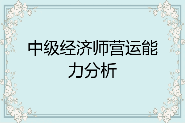 中级经济师营运能力分析