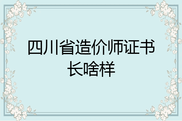 四川省造价师证书长啥样