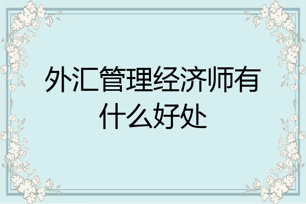 外汇管理经济师有什么好处