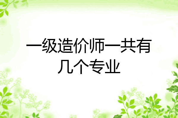 一级造价师一共有几个专业