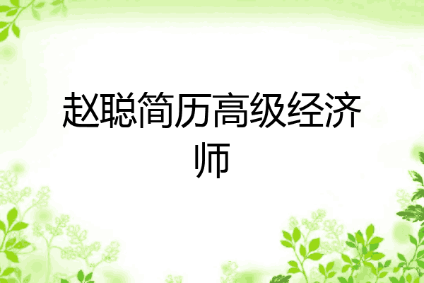 赵聪简历高级经济师