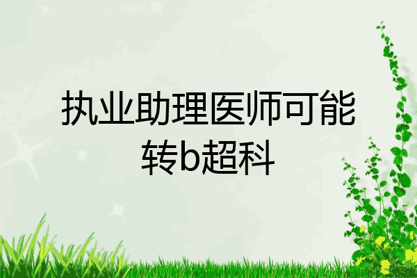 执业助理医师可能转b超科