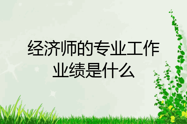 经济师的专业工作业绩是什么
