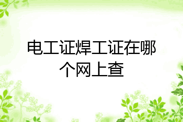 电工证焊工证在哪个网上查