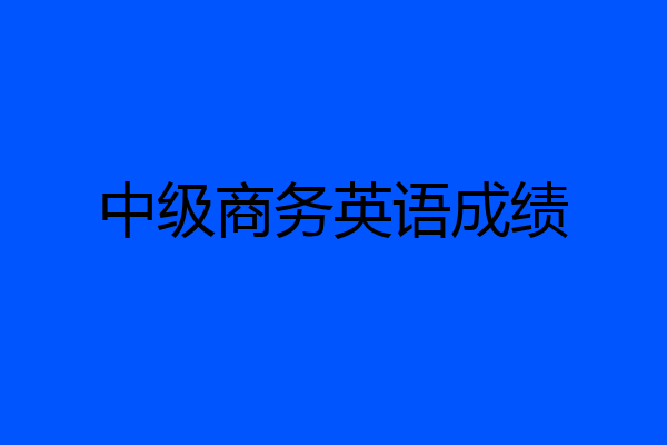 中级商务英语成绩