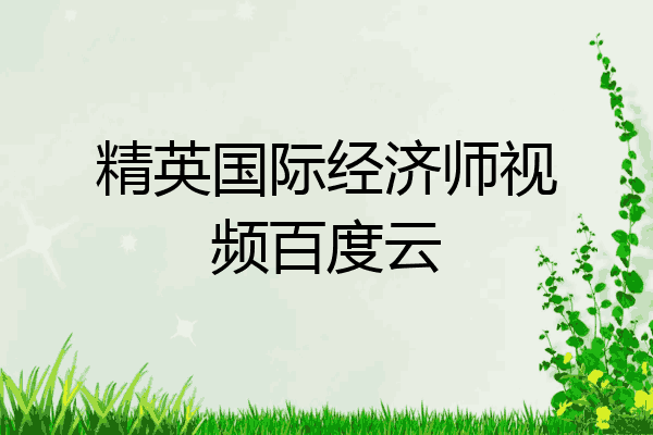 精英国际经济师视频百度云