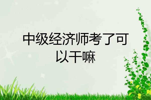 中级经济师考了可以干嘛